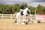 SBM_008799