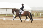 SBM_009994
