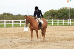 SBM_001616