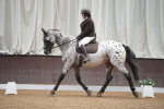 SBM_001903