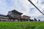 220825-Race 4-Asfoora-9396
