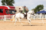 SBM_15494