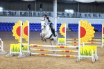 SBM_000253