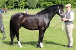 SIAL5371