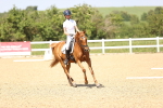 SBM_010079