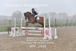 BPP_1448