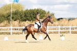 SBM_003429