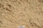 230720A-153038-03511