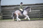 SBM_007968