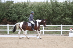 SBM_003016