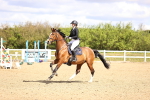 SBM_003648