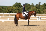 SBM_003828