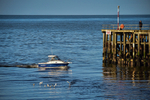ACP_9565-3