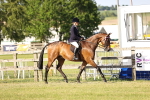 SBM_20186