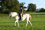SBM_56491