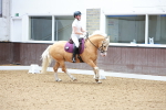 SBM_008351
