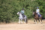 WJ6_7779
