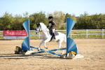 SBM_000248