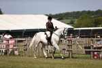 SBM_17981