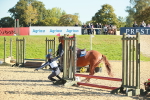 SBM_15271