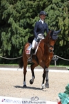 367-ITAREUSO-Louisa_Lockwood-WEDTrotUp+DR portfolio