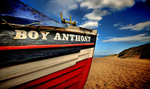 Boy Anthony