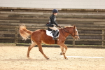 SBM_001564