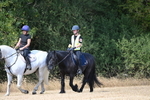 WJ6_9119