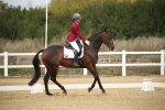 SBM_001340
