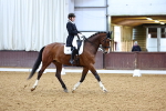 SBM_002597