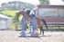 BPP_4476
