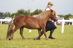 DSC04539
