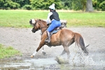 Abbie's 1st Group - XC portfolio