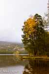 Loch an Eilein in Autumn, 2