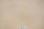 250613A-134509-01691