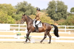 SBM_014960