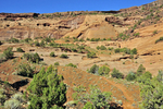 White House Ruin Trail