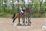 BPP_9482