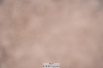 240505A-092616-04206