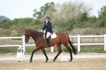 SBM_004279