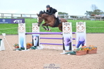 Cls 9 Foxhunter & 1.20m Open portfolio
