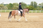 SBM_005950
