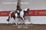 BPP_1262