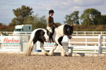 SBM_18299