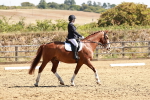 SBM_001654