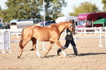 SBM_11173