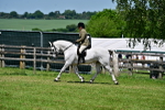 SBM_17497