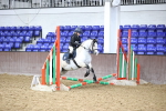 SBM_000255