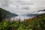 A misty Evening on Loch Long