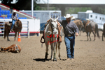 3HRodeo8-11-25_PRCASteer_04348_